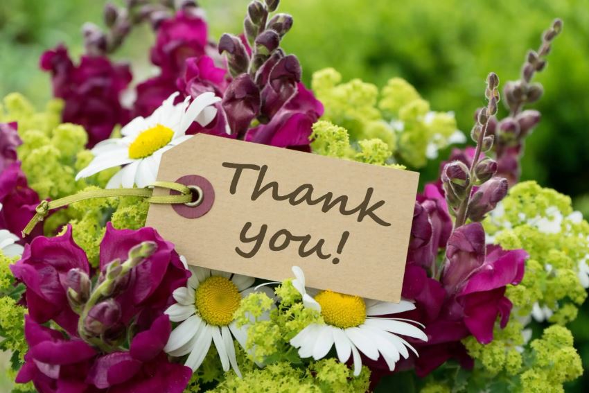 Lush Flower Co's Guide to Choosing the Perfect Thank You Flowers