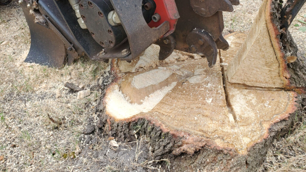 Stump Grinding