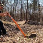The Ultimate Guide to Efficient Stump Grinding: Unveiling the Secrets for a Flawless Tree Removal