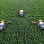 Pest and Termite Control: Combining Efforts for Maximum Effectiveness