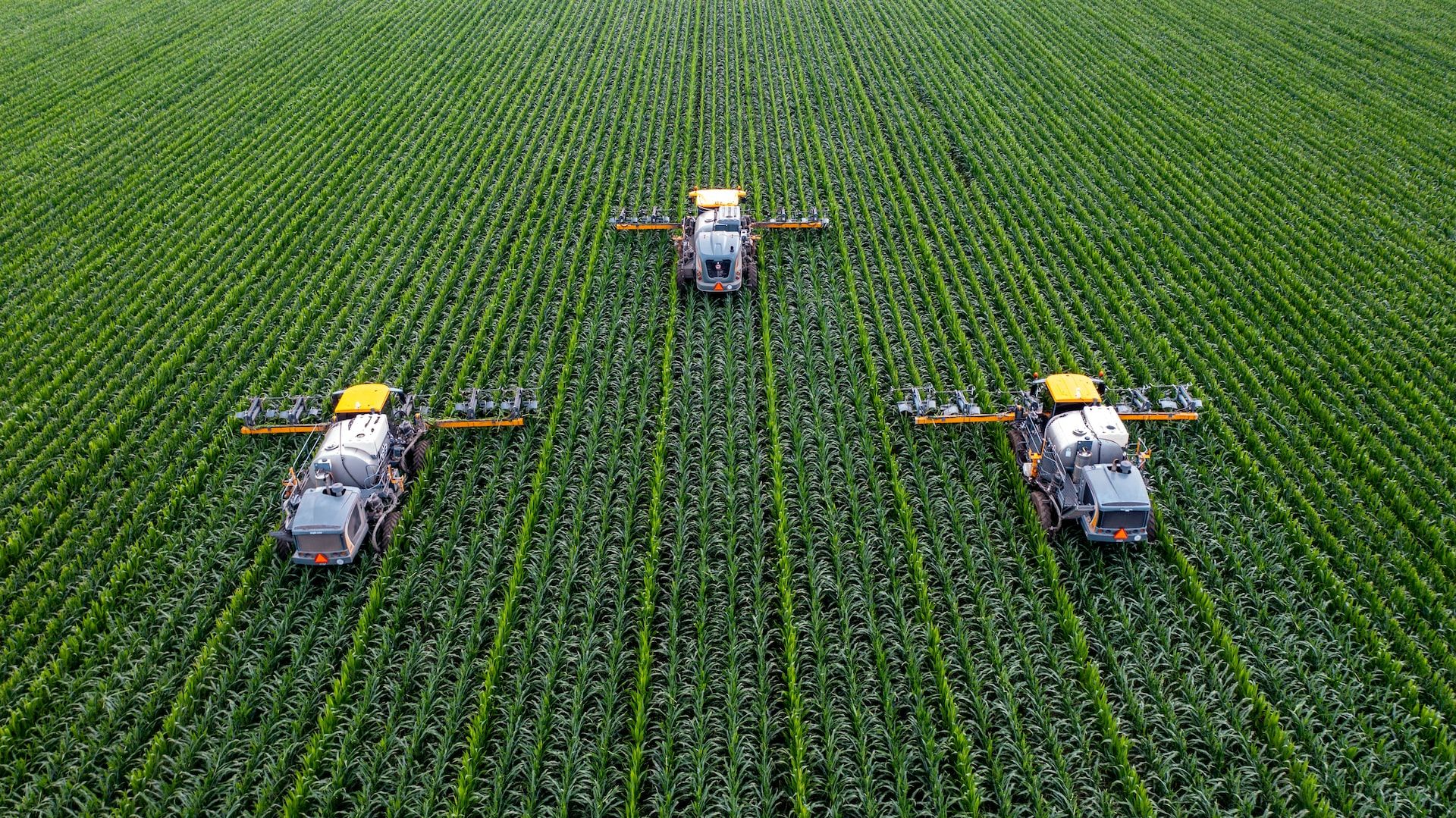 Pest and Termite Control: Combining Efforts for Maximum Effectiveness