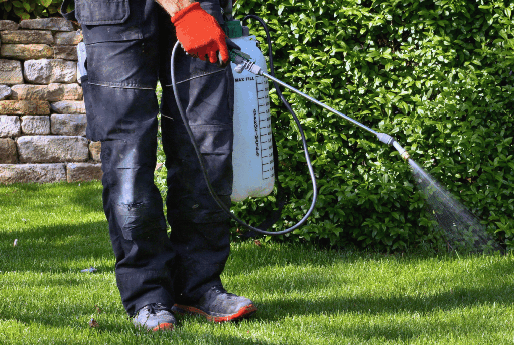 Termite-Treatment