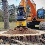 Stump Grinding Near Me: How to Remove Tree Roots Effectively