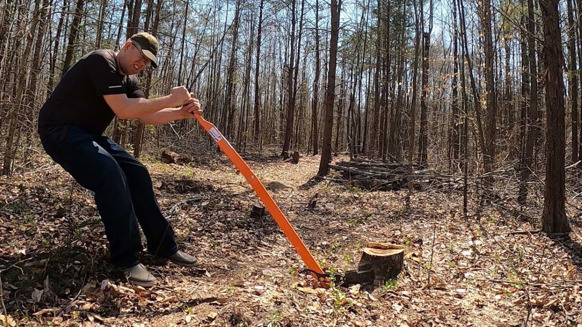 stump grinding sydney