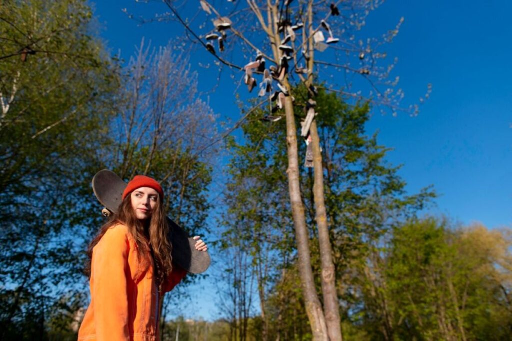 arborist North Shore