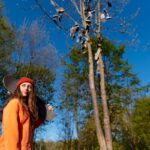 Arborist Sydney Services: When Do You Really Need One?