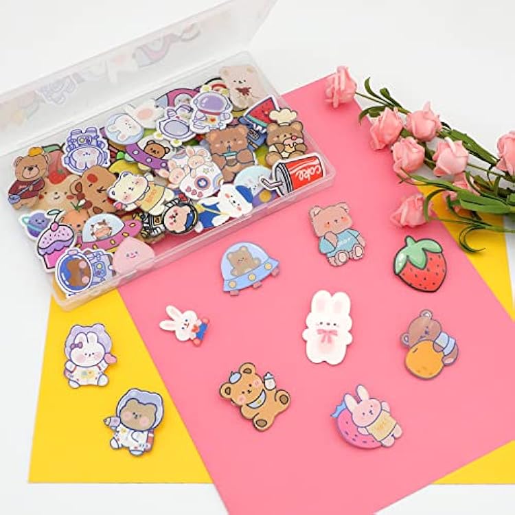 Acrylic Pins