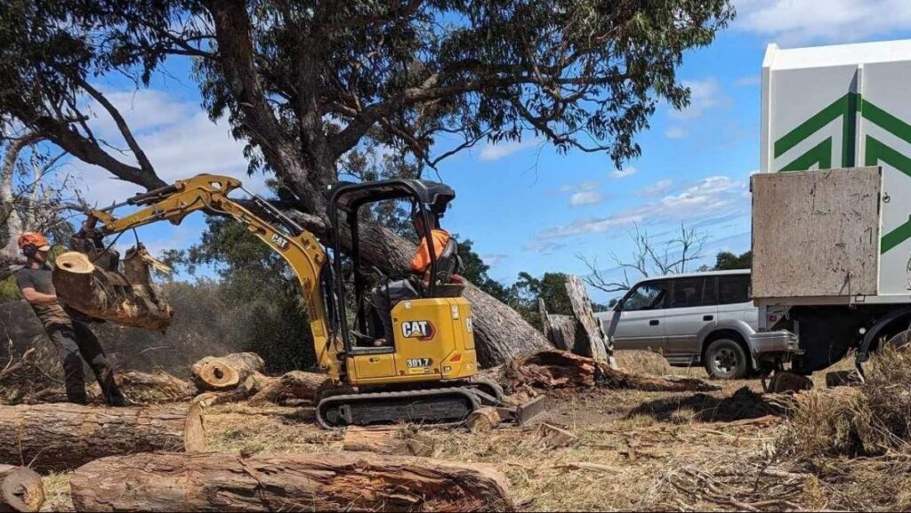 Wahroonga tree removal