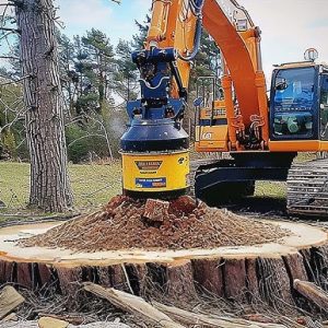 Stump Grinding Near Me: How to Remove Tree Roots Effectively